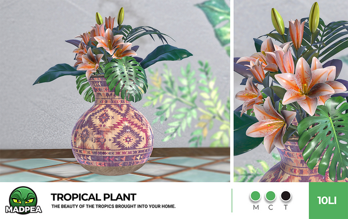 MadPea Tropical Plant