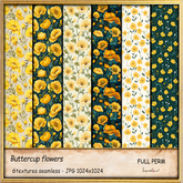 Buttercup flowers textures full perm