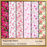 Bougainvillea flowers textures full perm