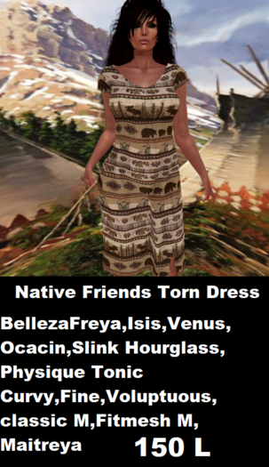 Native Friends Torn Dress