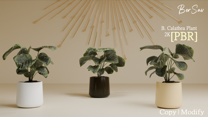 [PBR] Calathea Plant [BERSAV]