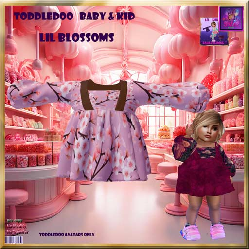 LIL BLOSSOMS PBR DRESS  TODDLEDOO