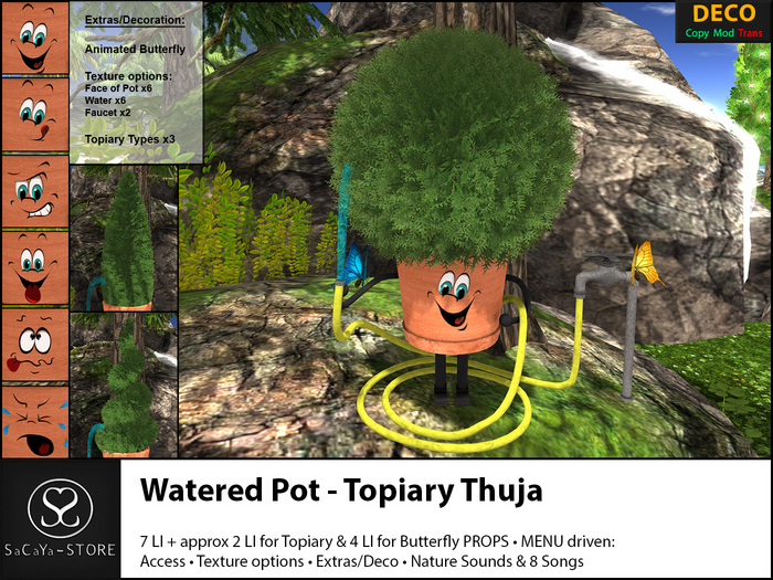 SaCaYa - Watered Pot - Topiary Thuja