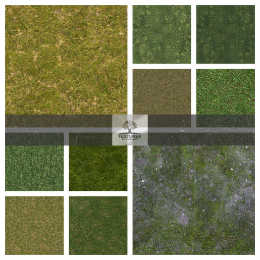 TB - GRASS