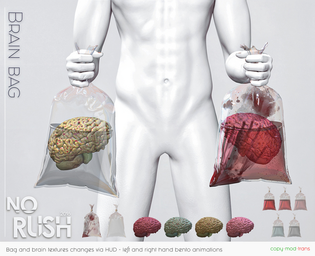 [NoRush] Brain Bag -unpack-