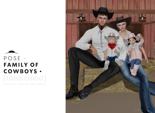Pose FAMILY OF COWBOYS (Toddleedoo)