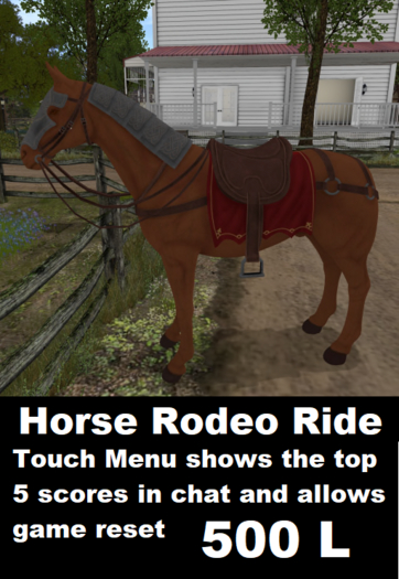 Horse Rodeo Ride 2024