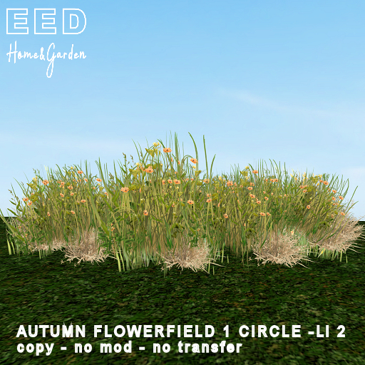 EED's AUTUMN FLOWERFIELD 1 CIRCLE resizer c