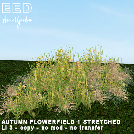 EED's AUTUMN FLOWERFIELD 1 STRETCHED  resizer c