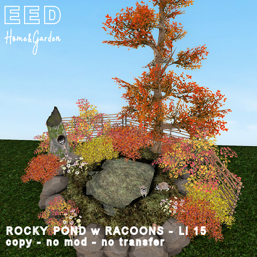 EED's ROCKY POND w RACOONS resizer c
