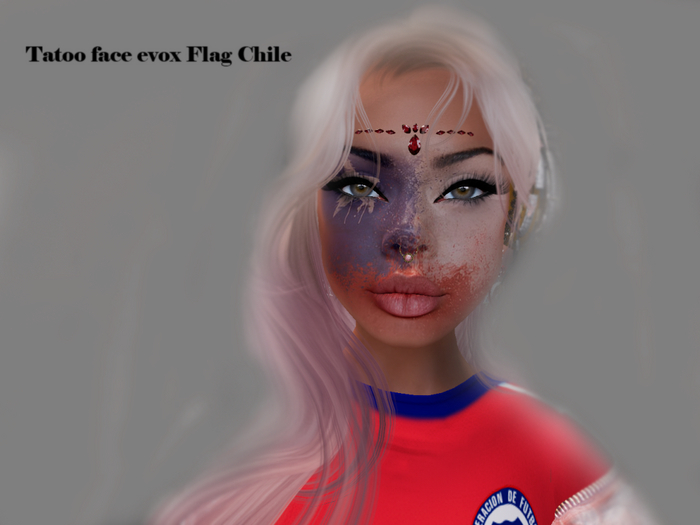 BANDERA CHILENA FACE EVOX