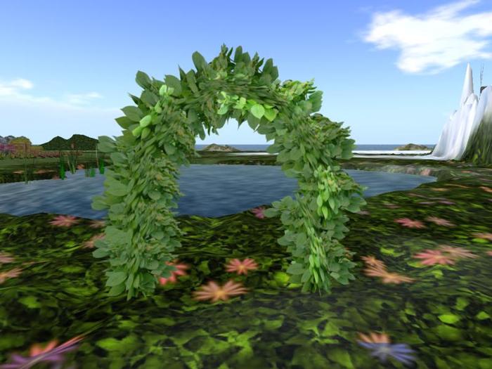 Arkad's 1 Prim Hydrangea macrophylla Arch