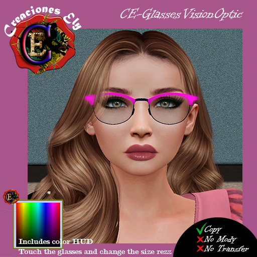 CE-Glasses VisionOptic