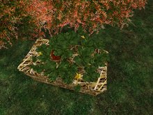 Straw bale with blooming pumpkin