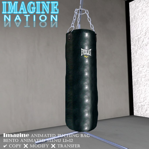 Imagine Punching Bag