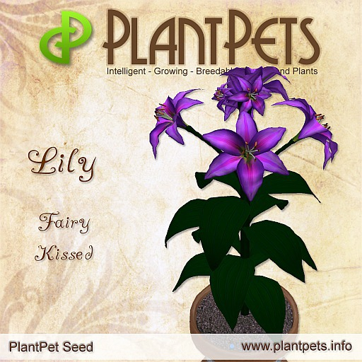 PlantPet Seed [Lily *Fairy Kissed*]