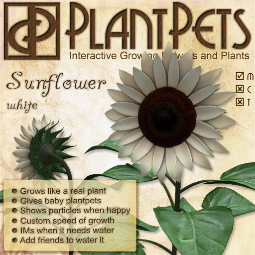 PlantPet Seed [Sunflower *White*]