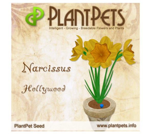 PlantPet Seed [Narcissus *Hollywood*]
