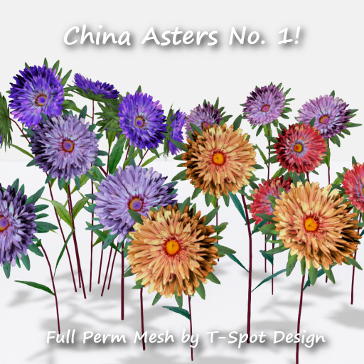 T-Spot Mesh - China Asters No. 1 - FP - LI=0.5