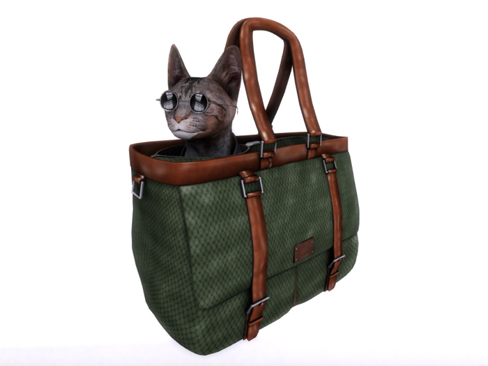 Cat in a Bag David Heather / /Moss 1