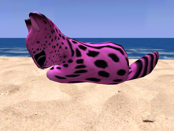 Stray Cats Kitten - Stray Kitty (F)