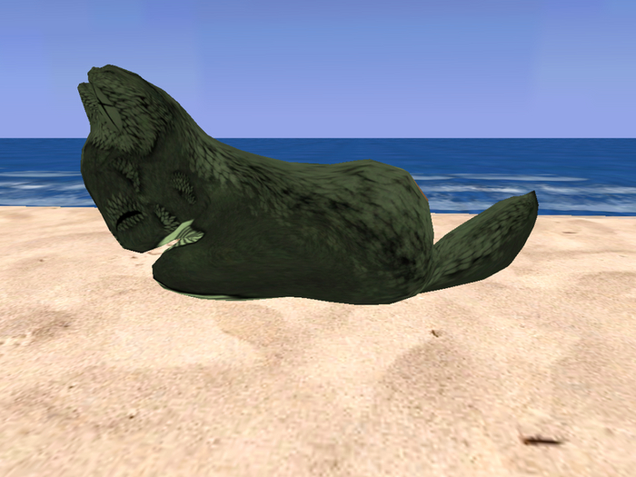 Stray Cats Kitten - Stray Kitty (F)