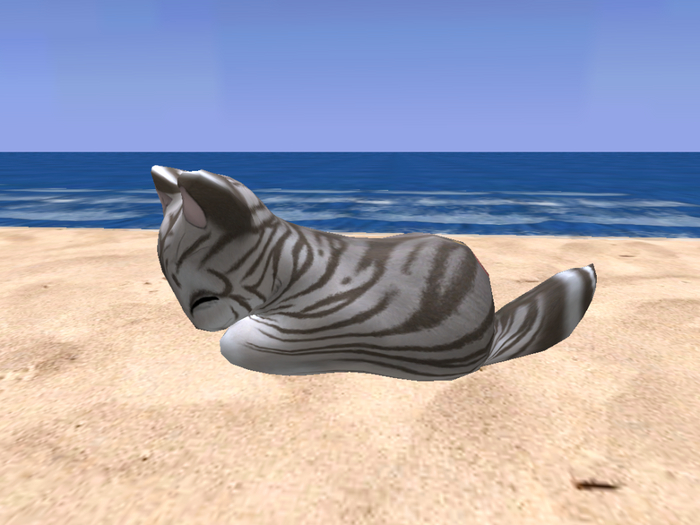 Stray Cats Kitten - Stray Kitty (F)