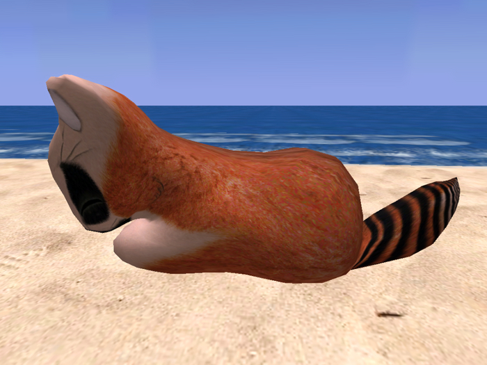 Stray Cats Kitten - Stray Kitty (M)