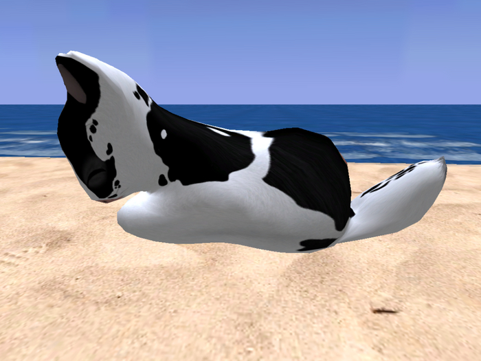 Stray Cats Kitten - Stray Kitty (M)