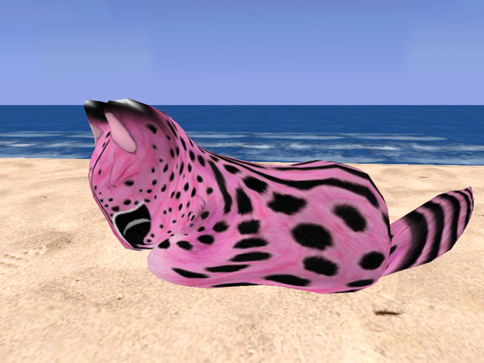 Stray Cats Kitten - Stray Kitty (M)