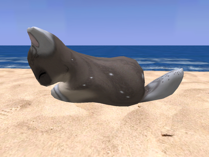 Stray Cats Kitten - Stray Kitty (M)