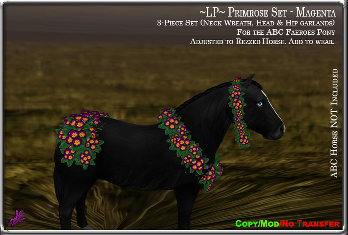 ~LP~ Primrose Set [BOXED] ABC Faeroes  Magenta