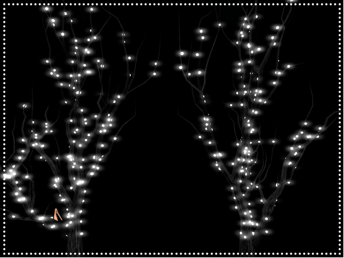 Black Lit Tree Branch