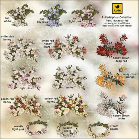 *LODE* Head Accessory - Philadelphus Honey [white]