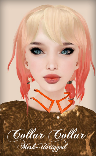 Collar collar - Orange