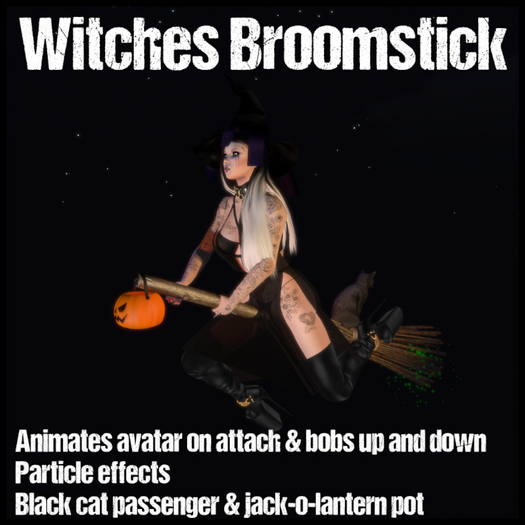 [WT] Rideable Witches Broom