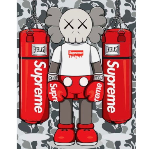 kaws boxing wall art