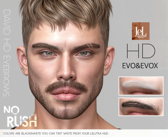 [NoRush] David HD Eyebrows (Lel)