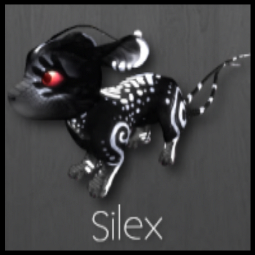 Gemini silex male Meeroo Nest ID #8418037