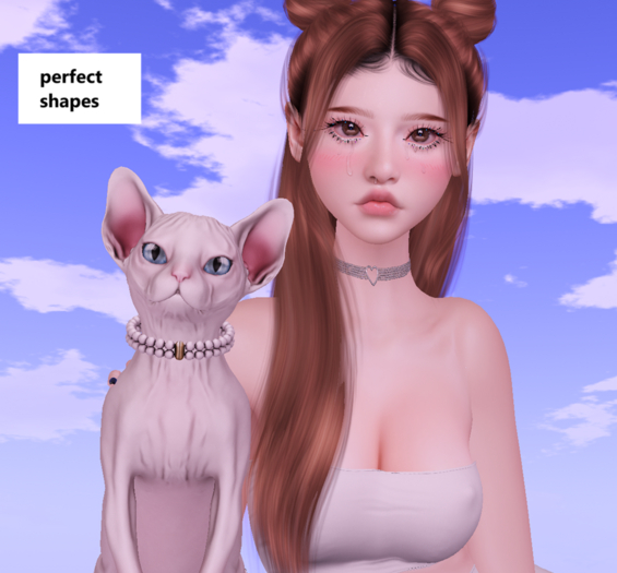 SPECIAL White cat = SEmotion Libellune Canadian Sphynx Companion SPECIAL