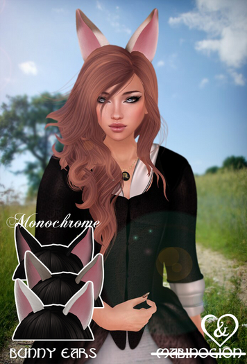 Bunny Ears - Monochrome