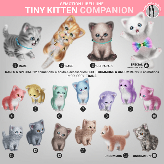 SEmotion Libellune Tiny Kitten Companion complete set