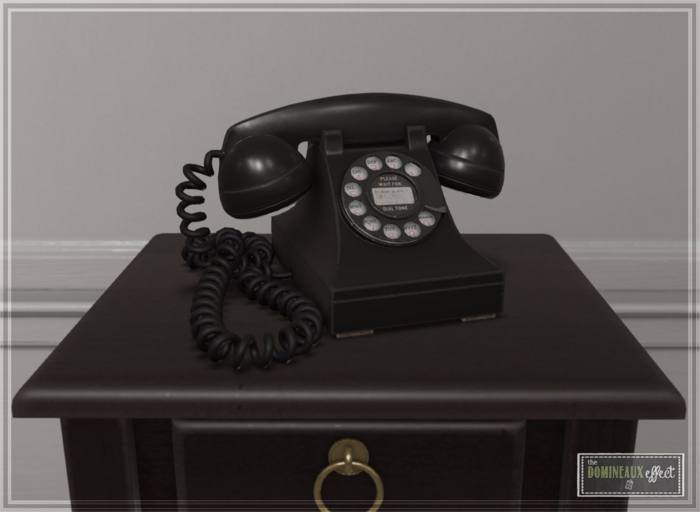 TDE ~ Vintage Rotary Telephone (wear)