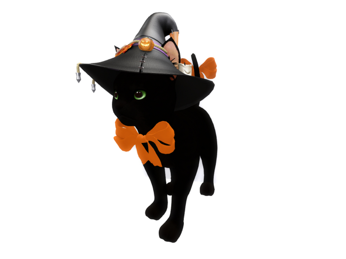 03 [X] Black cat standing