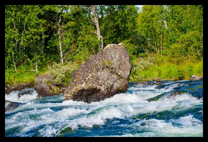 Wild Waters