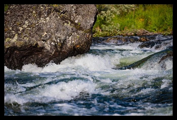 Wild Water CloseUp