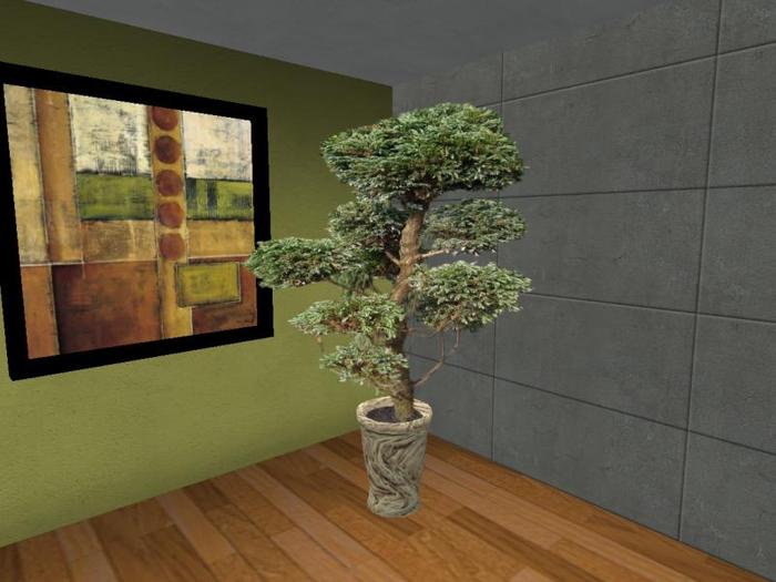 Arkad's Potted Floor Sawara Cypress flexi plant