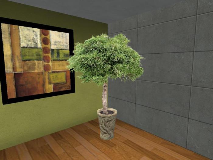 Arkad's Potted Floor Threadleaf Cypress flexi plant