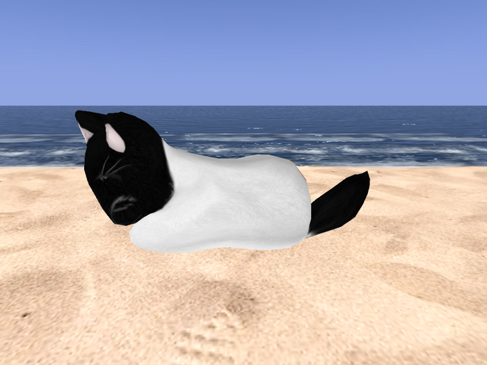 Stray Cats Kitten - Stray Kitty (M)