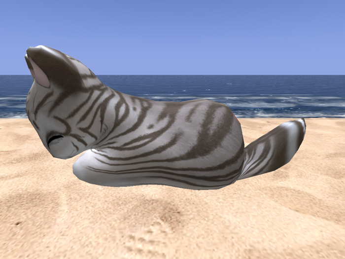 Stray Cats Kitten - Stray Kitty (M)